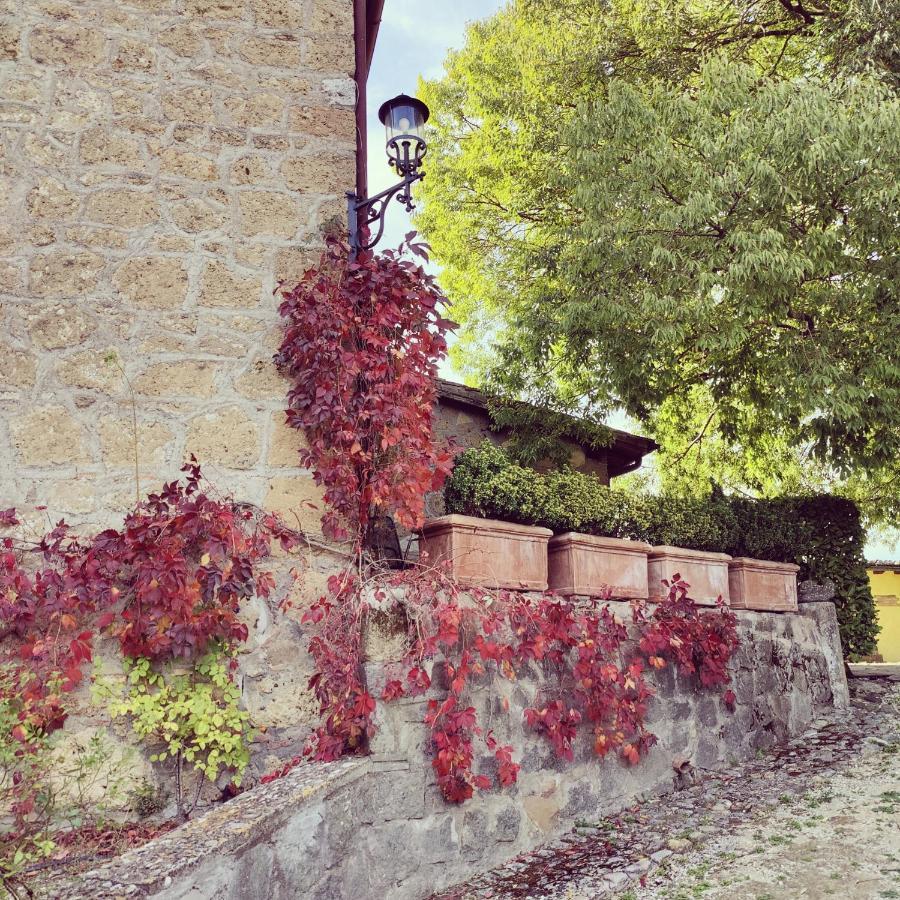 La Locanda Della Chiocciola Orte Exterior photo